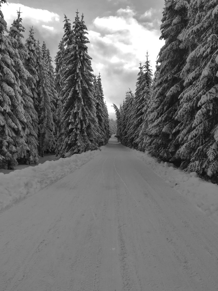 Winter