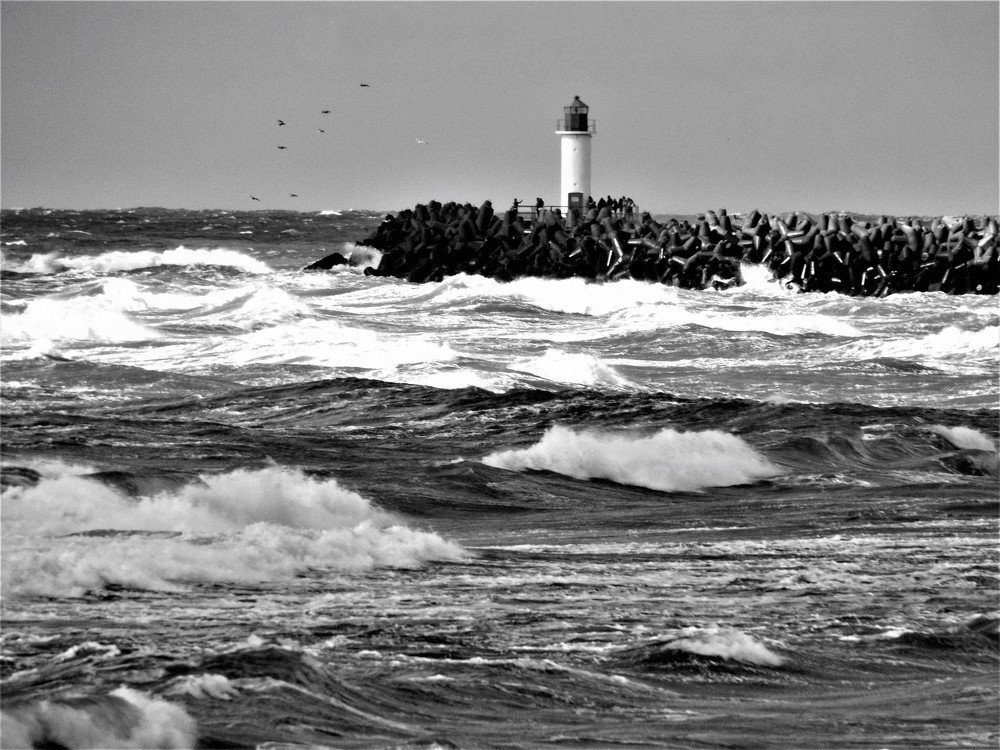 Photograph by Vydmantas