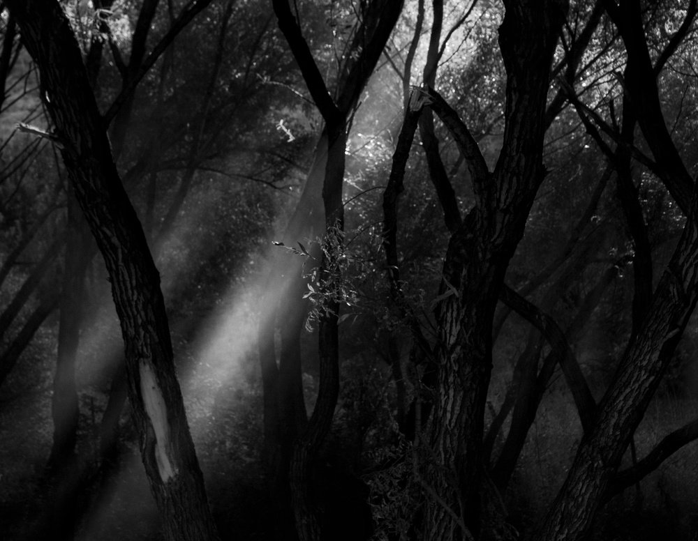 Photograph by Milad qazi