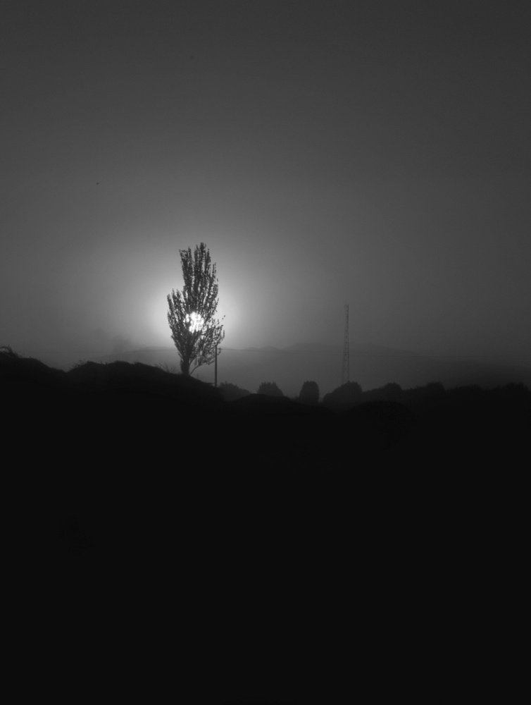 Photograph by Milad qazi