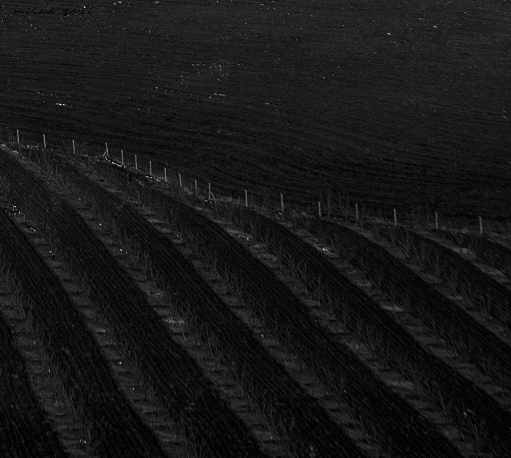 Photograph by Milad qazi