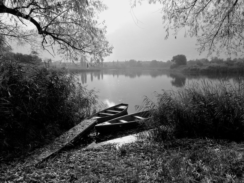 Photograph by Денис Лащ