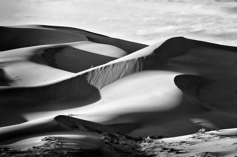 Монгольские дюны.