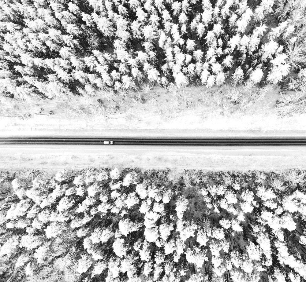 Дорога в зимнем лесу