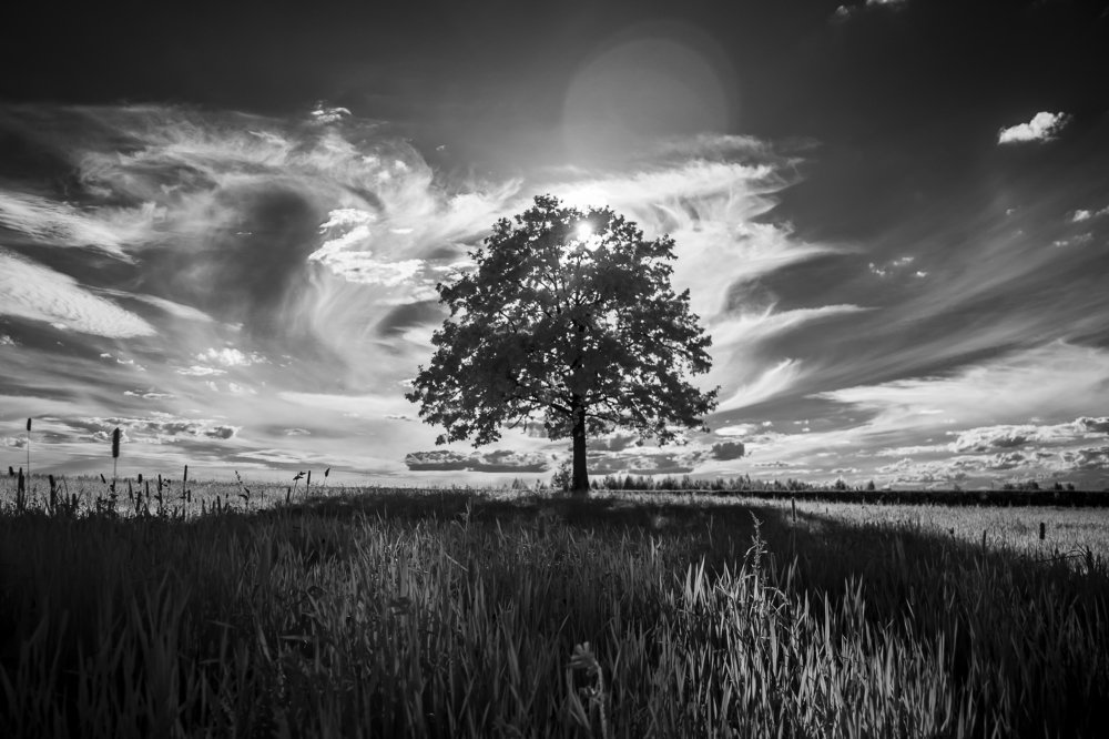 Одиночество