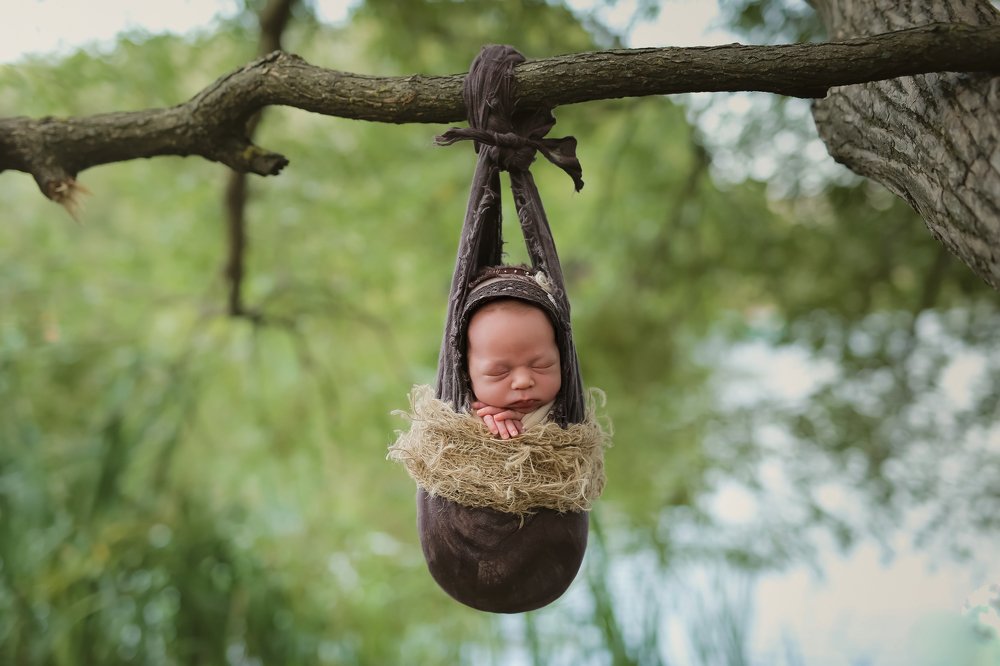 Сны в парке.