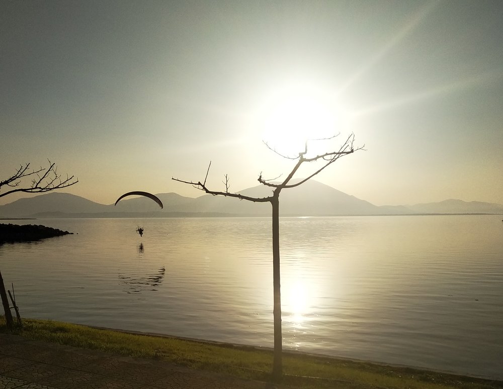 Photo #3120314