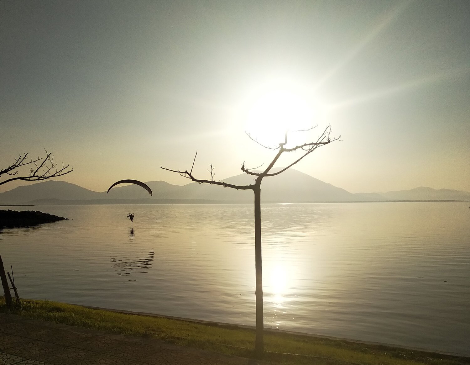Photo #3120314