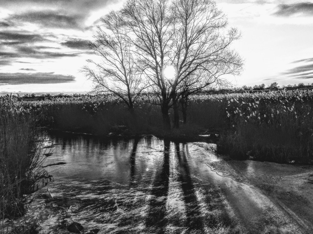 Photograph by Денис Лащ