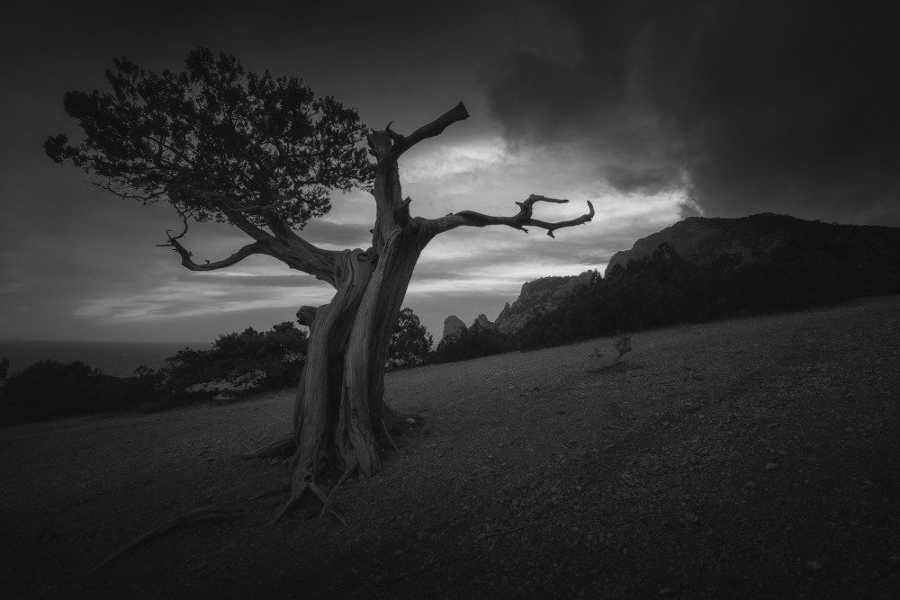 Одинокий старец.