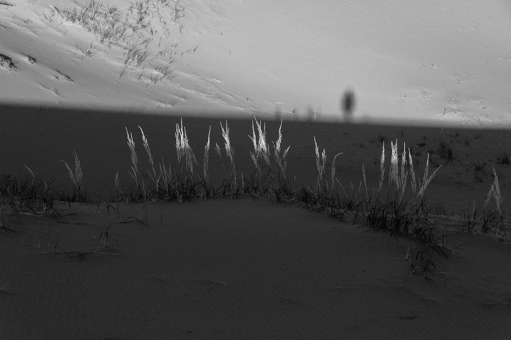 В песках Монголии.