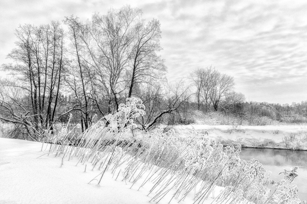 Photograph by Владислав Мотузенко