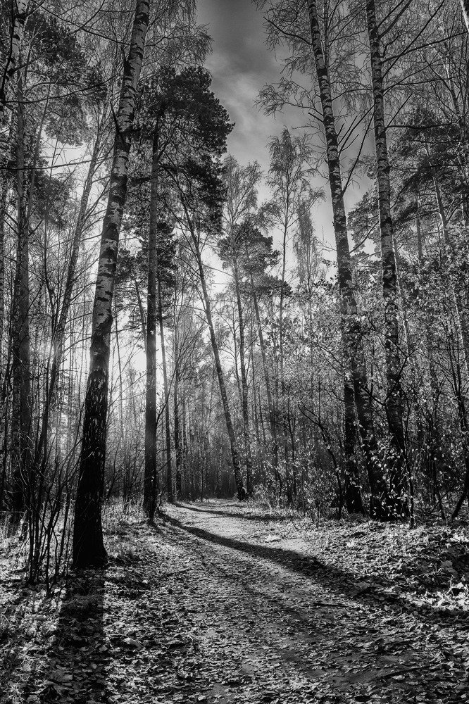 Photograph by Владислав Мотузенко