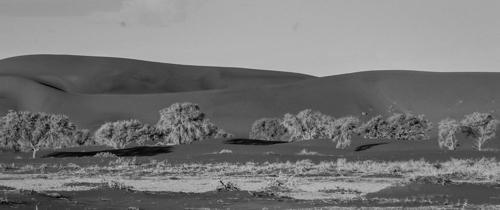 Landscape Black and White