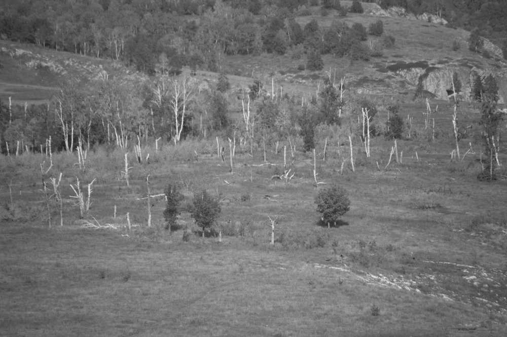 После урагана.