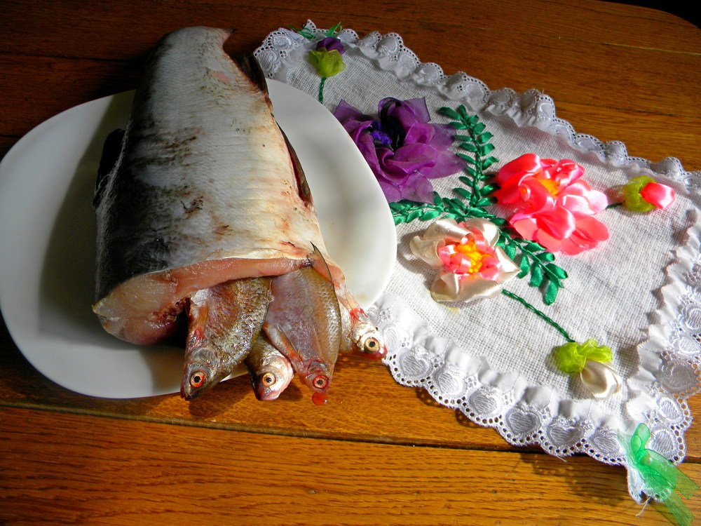 Tail of Plenty