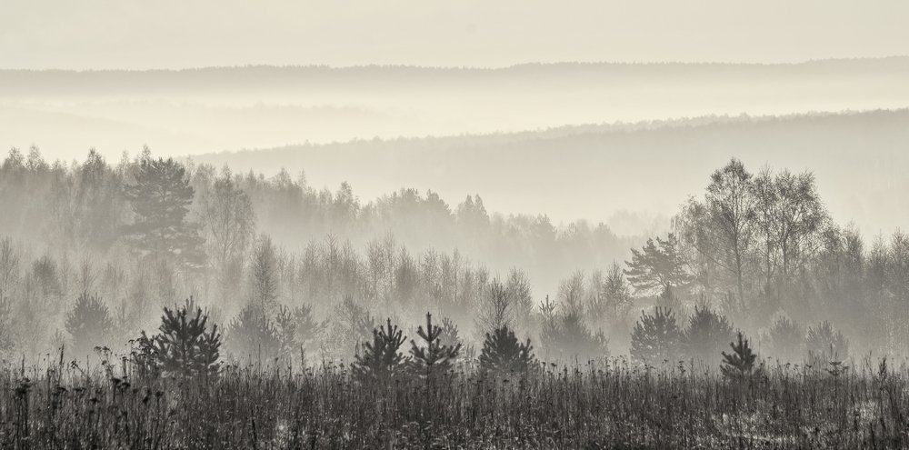 Утро туманное