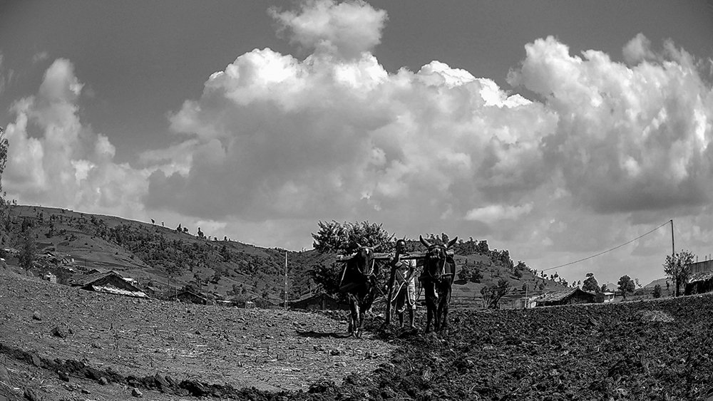 Farming