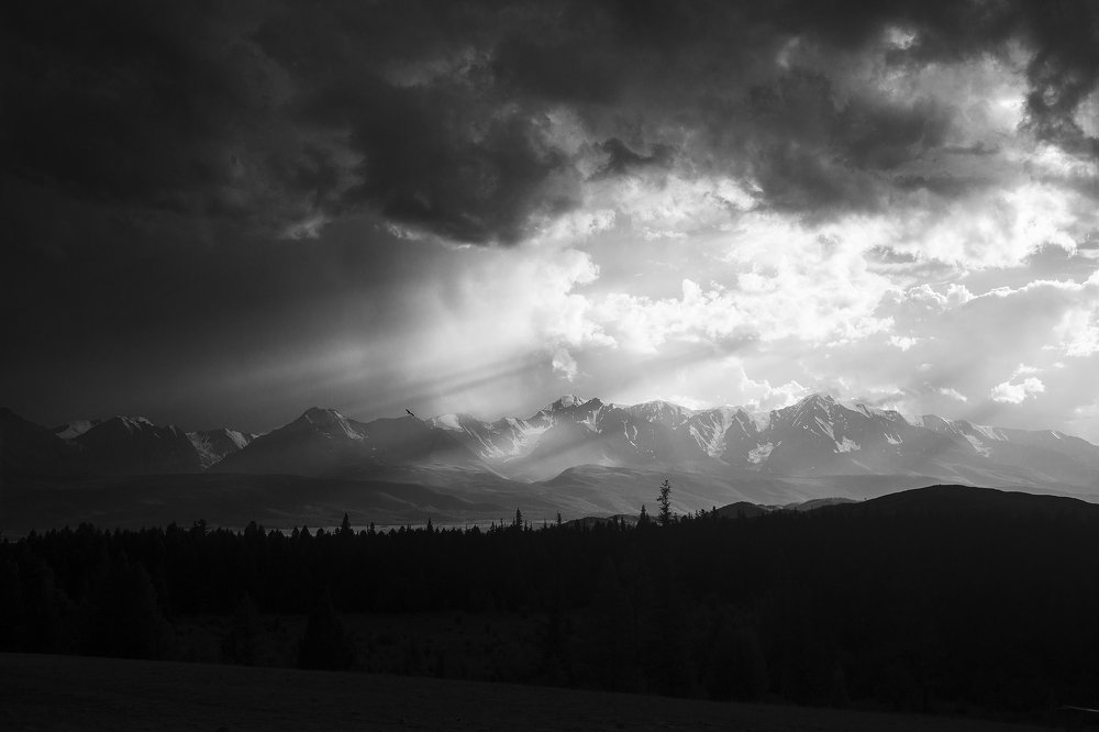 Ближе к свету