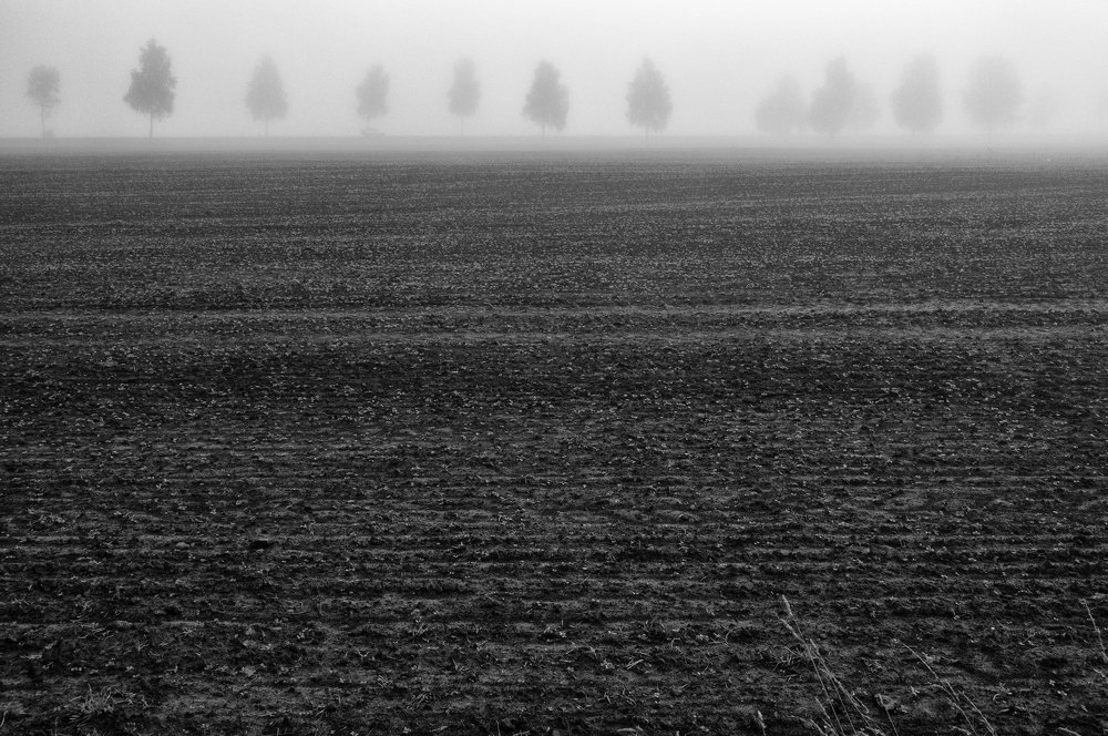 Осенний пейзаж