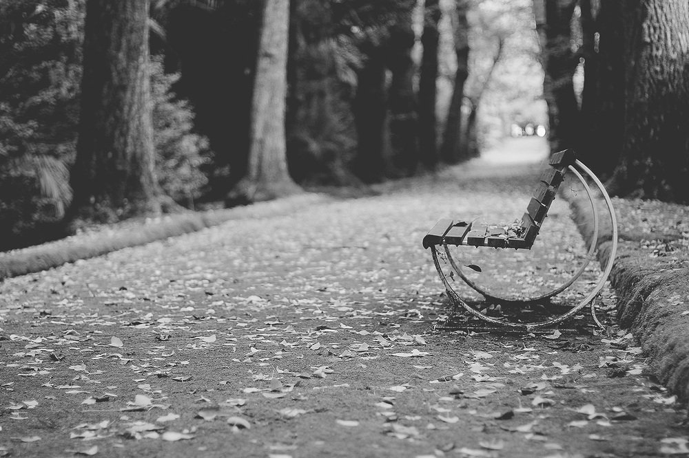 Photograph by Nuno Botelho