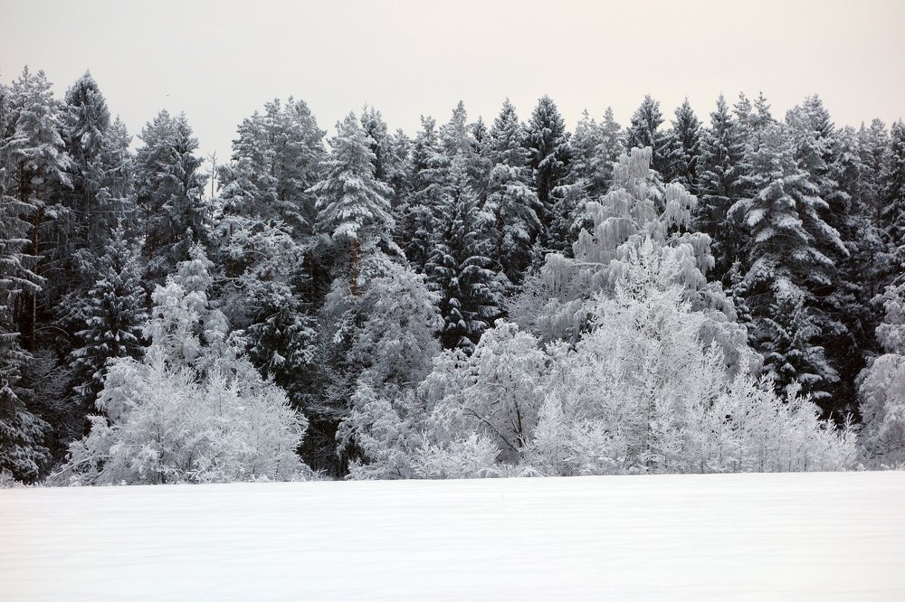 winter view