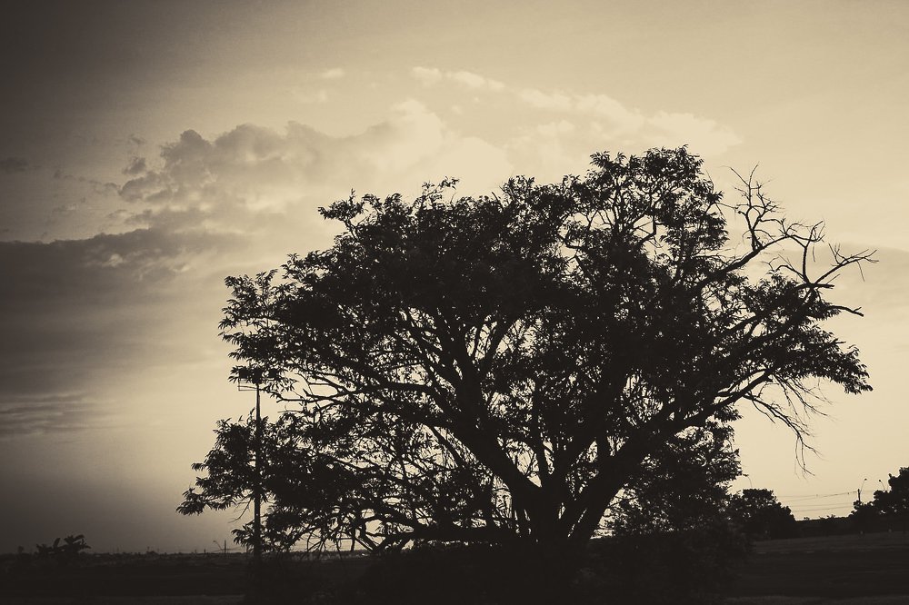 Um entardecer monocromático