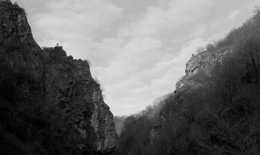 Photo #3120754