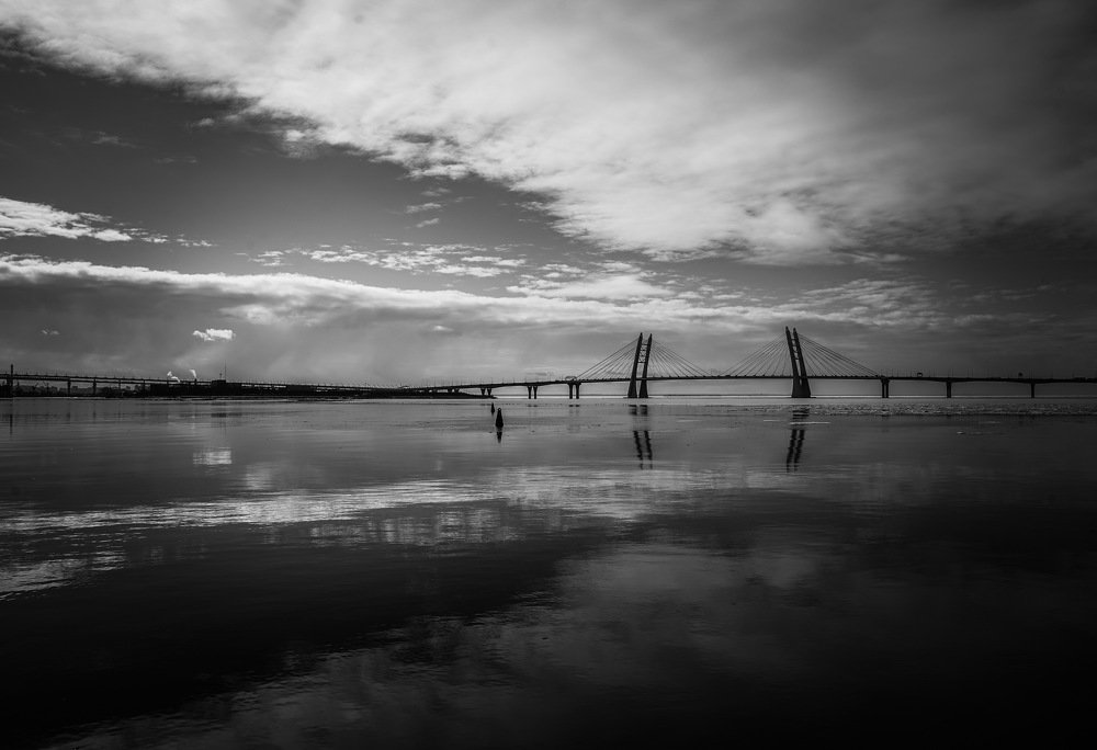 Вантовый мост