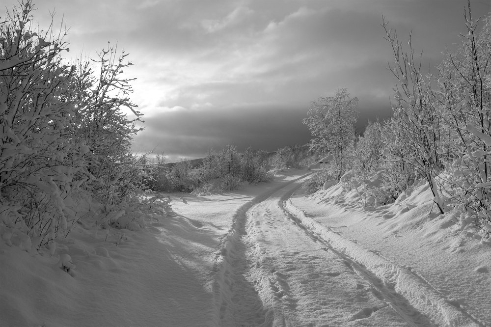 Первый снег