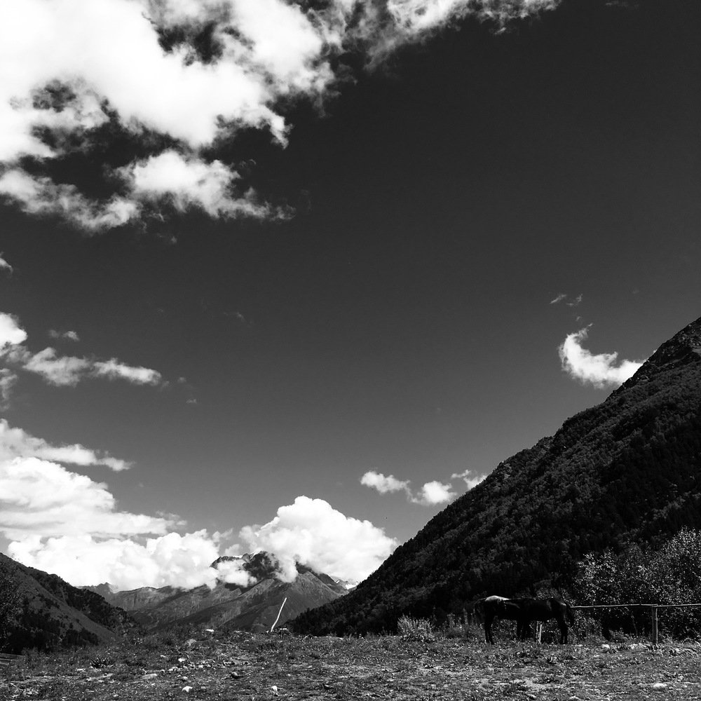 Photograph by Дарья Пшеницына