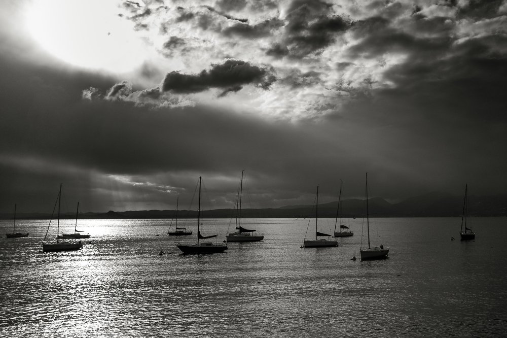 Photograph by Chaim Aminov