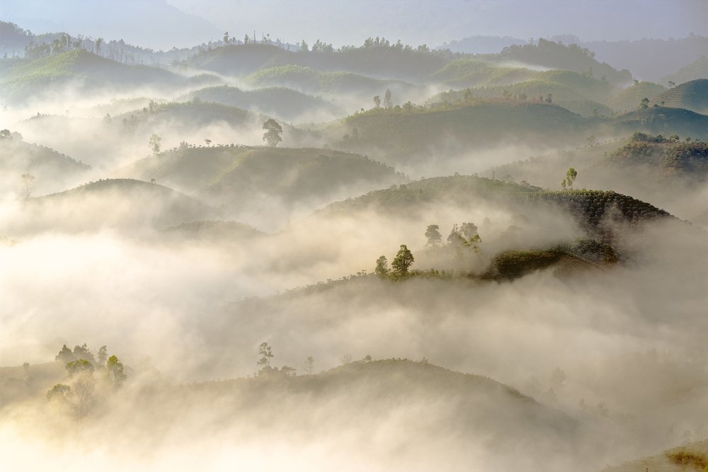 mist in the mountain