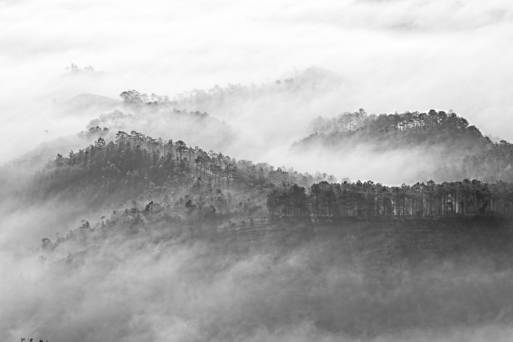 mist in the mountain