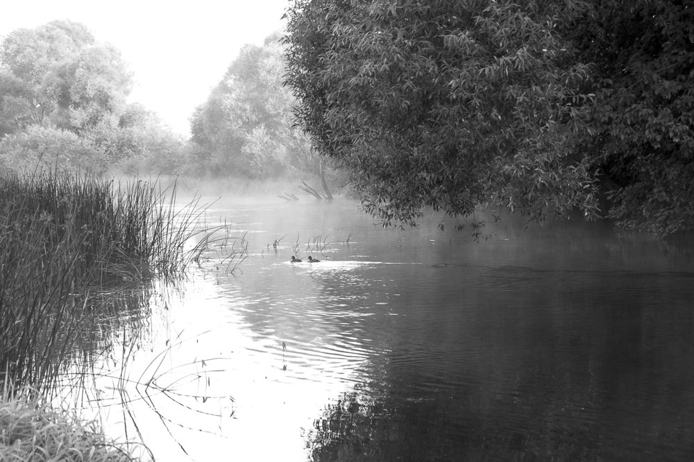 На рассвете