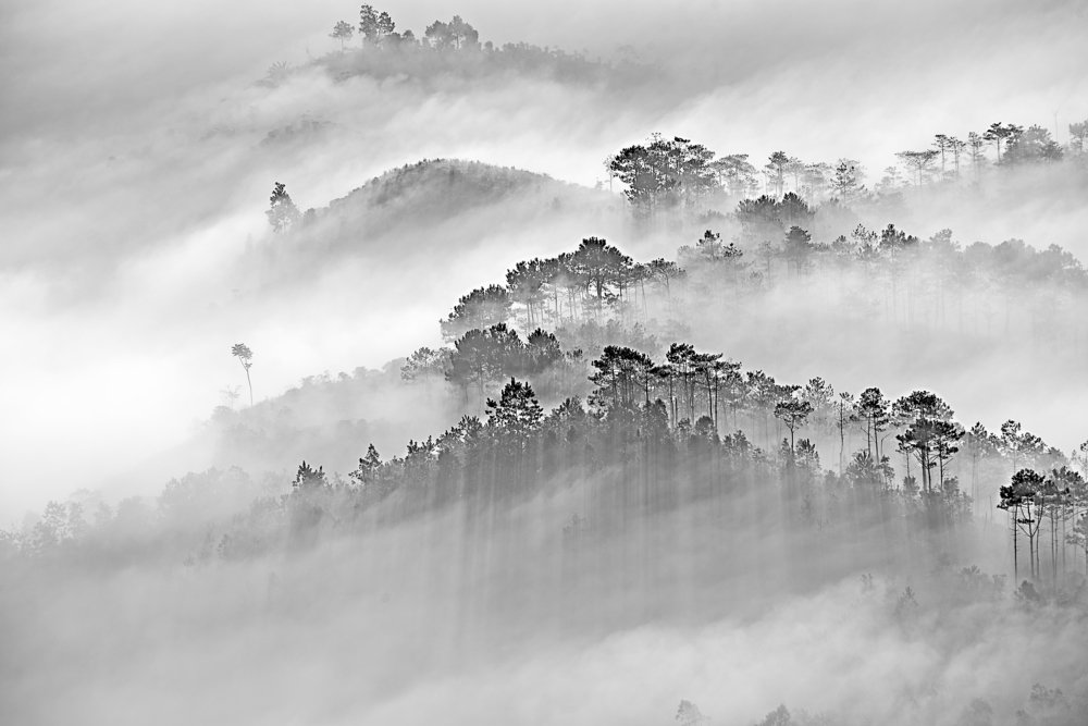 mist in the mountain