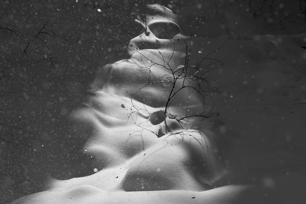 Photograph by Кожевников Сергей