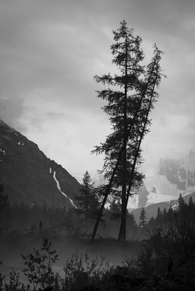 Аккемское танго