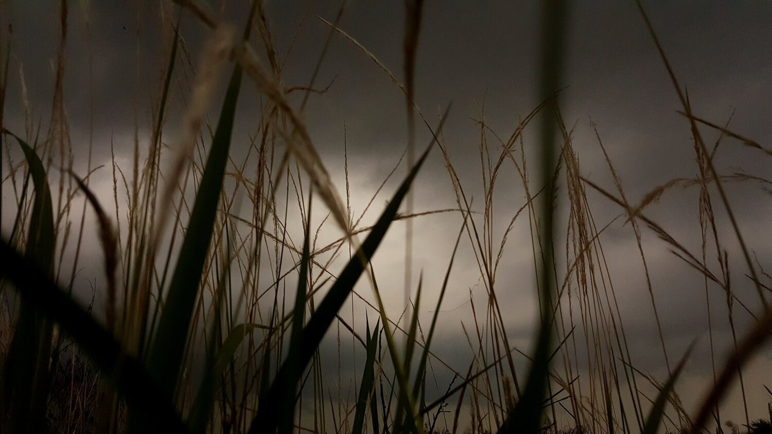 Dream on rain