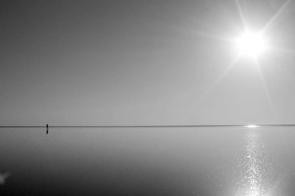 Дорога домой