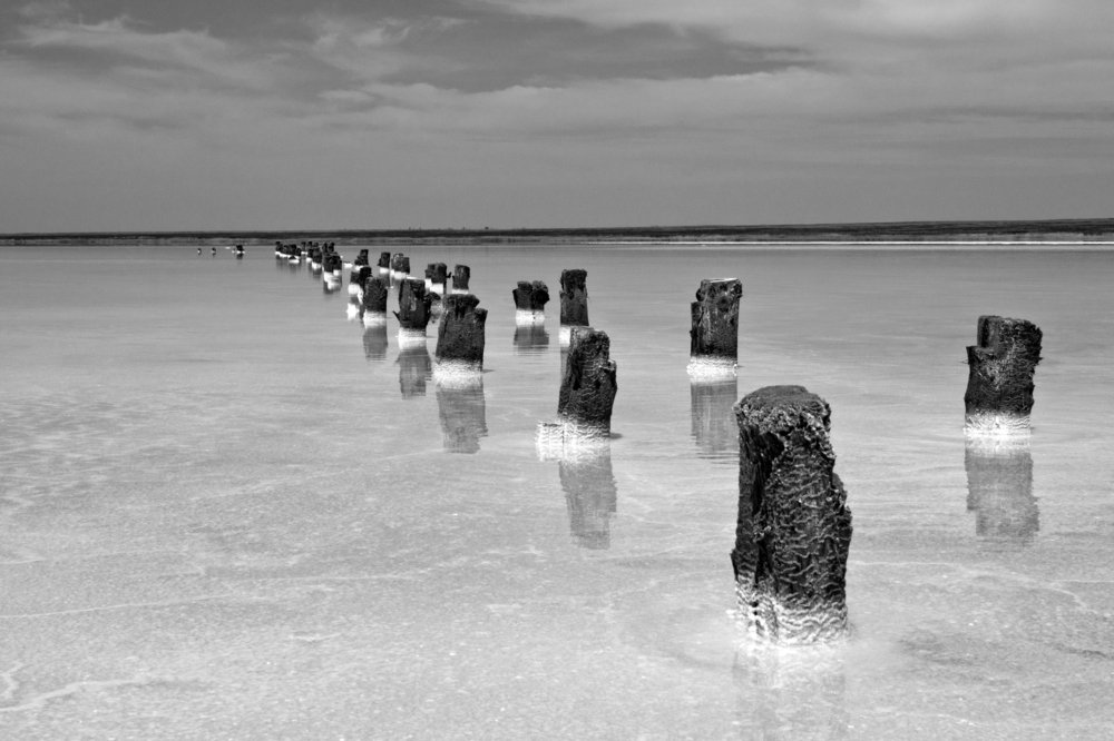 На озере Эльтон