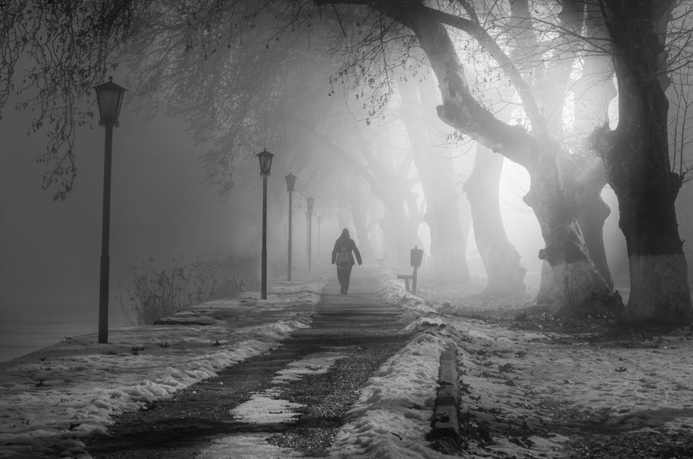 Foggy Path