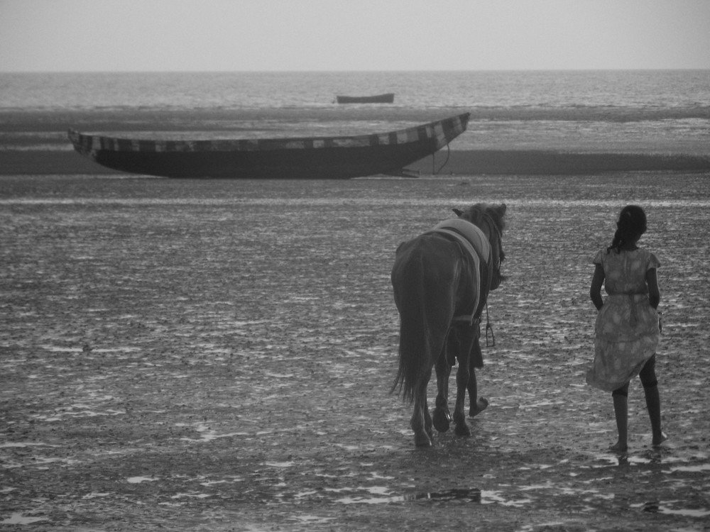 boat horse and a small girl