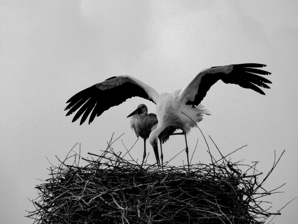 Фотография автора taher sabahi