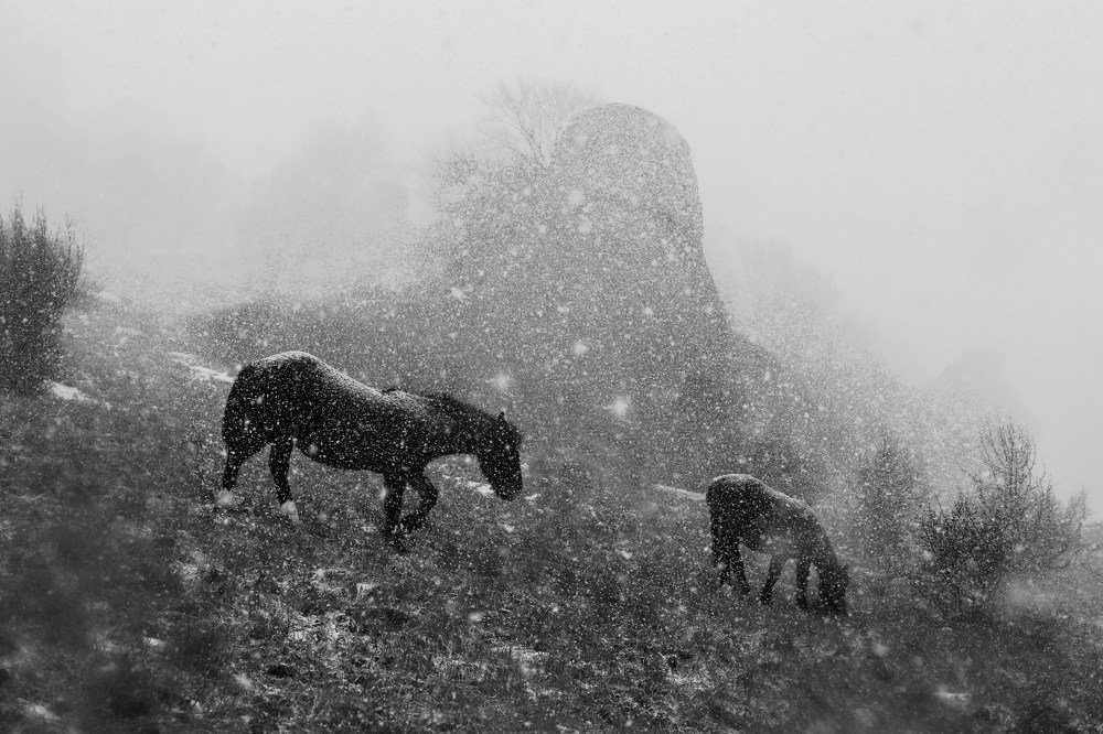 Снегопад на Демерджи