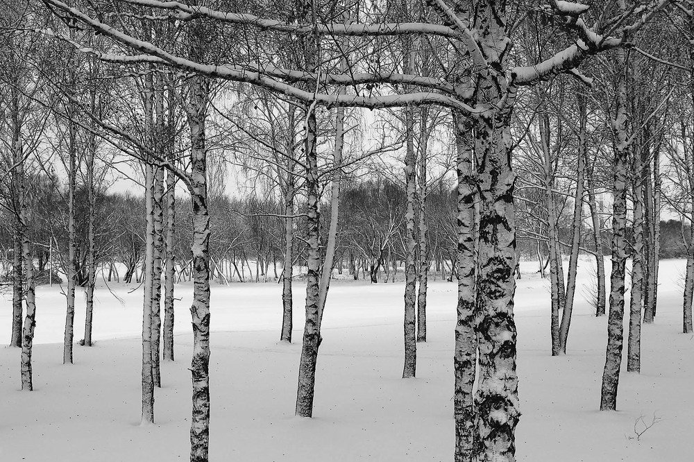 После снегопада