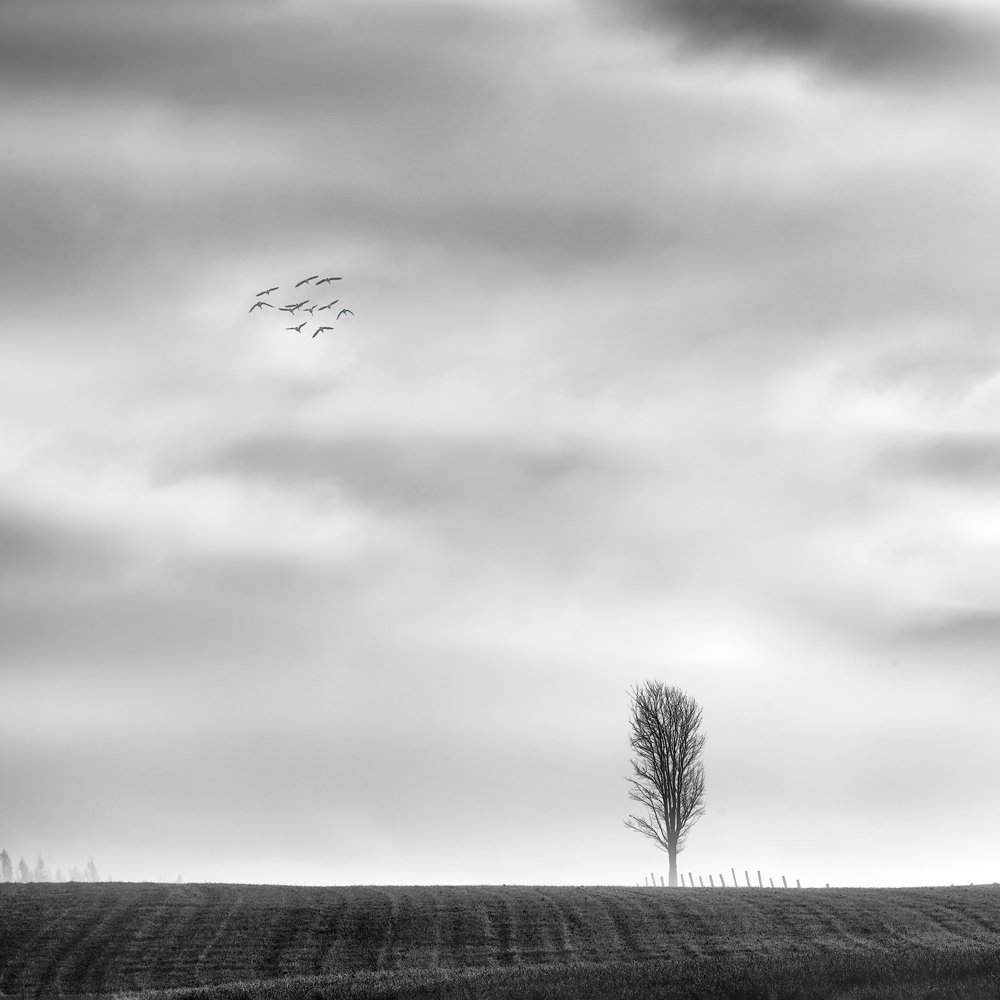 Someone will never take off - 2