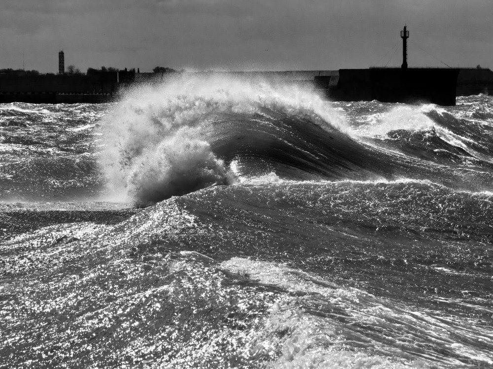 Морская красавица