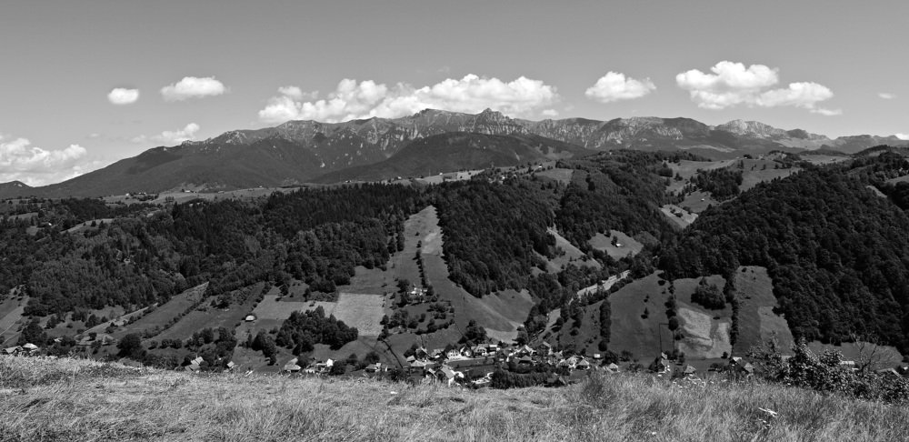 Photograph by Bocse Angela - Codrina