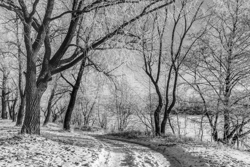 дорога в зиму